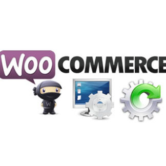 Loja Básica WooCommerce + 12 Meses Hospedagem