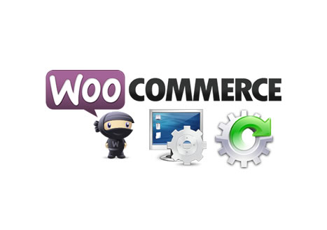 Instalação e configuração de loja virtual WooCommerce - Imagem 2