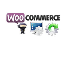 Instalação e configuração de loja virtual WooCommerce