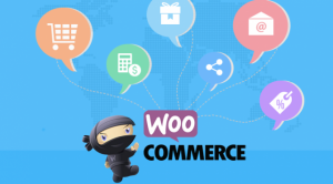 WooCommerce Plugins: O que é WooCommerce